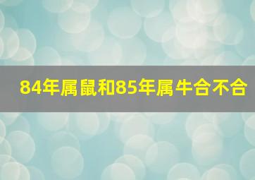 84年属鼠和85年属牛合不合