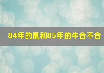 84年的鼠和85年的牛合不合