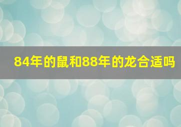 84年的鼠和88年的龙合适吗