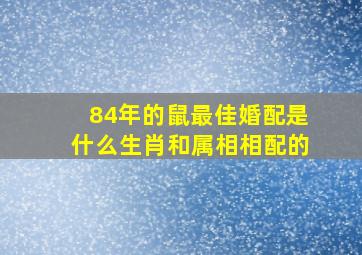 84年的鼠最佳婚配是什么生肖和属相相配的