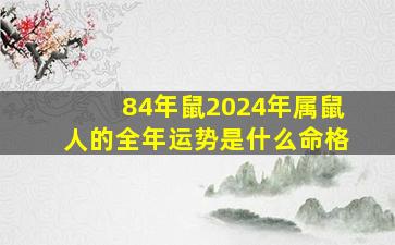 84年鼠2024年属鼠人的全年运势是什么命格