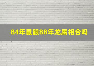 84年鼠跟88年龙属相合吗