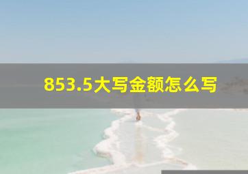 853.5大写金额怎么写