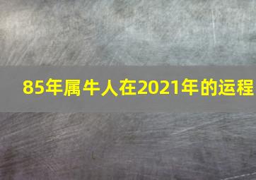 85年属牛人在2021年的运程