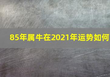 85年属牛在2021年运势如何