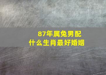 87年属兔男配什么生肖最好婚姻