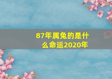 87年属兔的是什么命运2020年