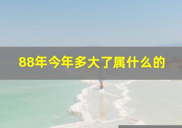 88年今年多大了属什么的