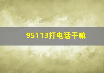 95113打电话干嘛