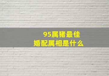 95属猪最佳婚配属相是什么