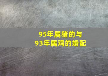 95年属猪的与93年属鸡的婚配