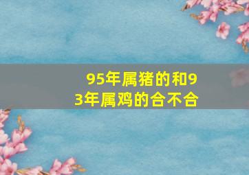 95年属猪的和93年属鸡的合不合