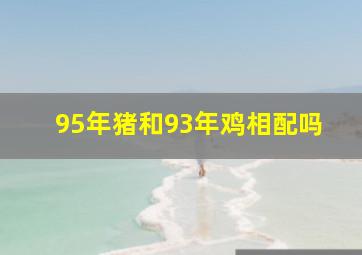 95年猪和93年鸡相配吗