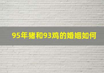 95年猪和93鸡的婚姻如何