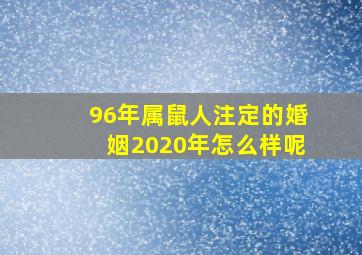 96年属鼠人注定的婚姻2020年怎么样呢