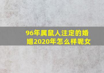 96年属鼠人注定的婚姻2020年怎么样呢女