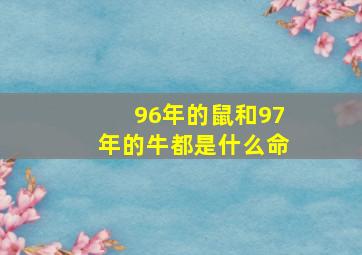 96年的鼠和97年的牛都是什么命