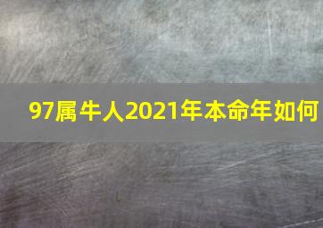 97属牛人2021年本命年如何