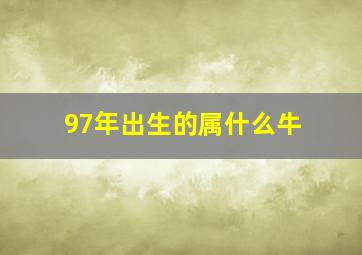 97年出生的属什么牛