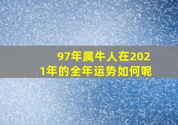 97年属牛人在2021年的全年运势如何呢