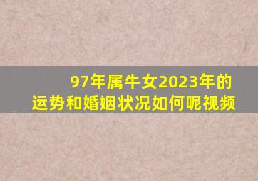 97年属牛女2023年的运势和婚姻状况如何呢视频