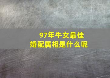 97年牛女最佳婚配属相是什么呢