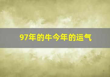 97年的牛今年的运气