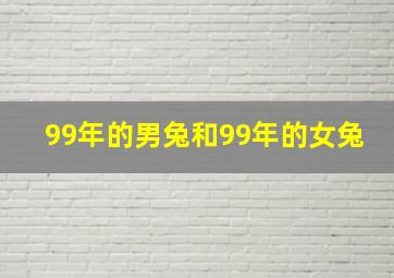 99年的男兔和99年的女兔