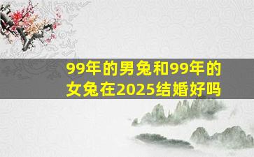 99年的男兔和99年的女兔在2025结婚好吗