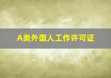 A类外国人工作许可证