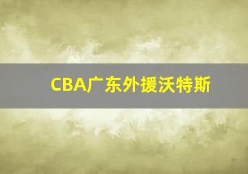 CBA广东外援沃特斯