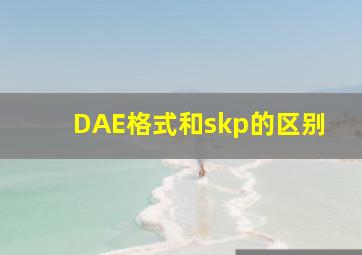 DAE格式和skp的区别