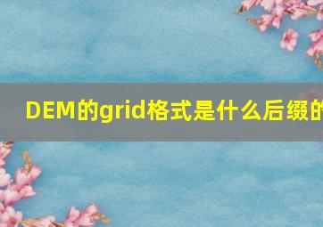 DEM的grid格式是什么后缀的