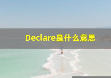 Declare是什么意思