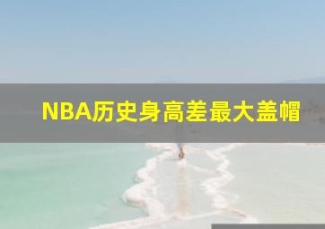 NBA历史身高差最大盖帽