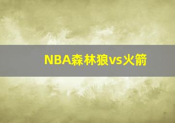 NBA森林狼vs火箭