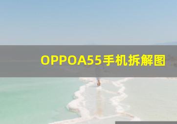 OPPOA55手机拆解图