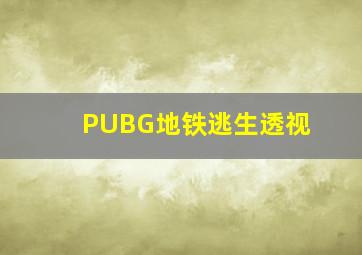 PUBG地铁逃生透视