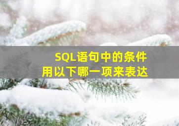 SQL语句中的条件用以下哪一项来表达