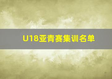 U18亚青赛集训名单