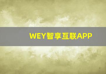 WEY智享互联APP