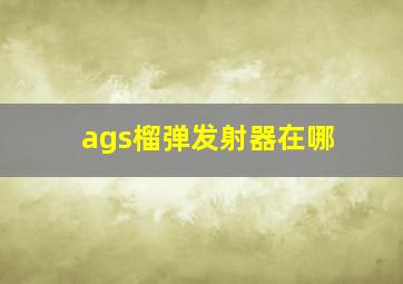 ags榴弹发射器在哪