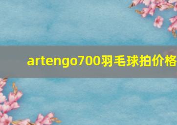 artengo700羽毛球拍价格