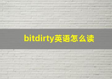 bitdirty英语怎么读