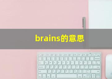 brains的意思