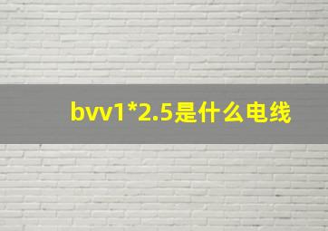 bvv1*2.5是什么电线