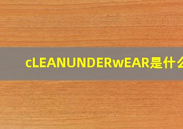 cLEANUNDERwEAR是什么中文