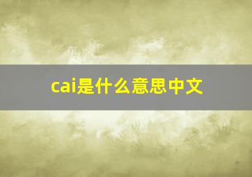 cai是什么意思中文