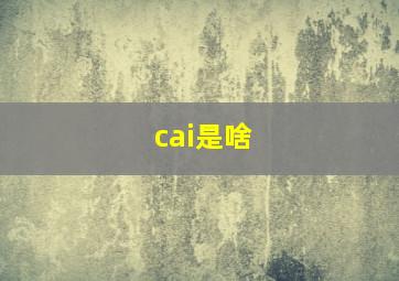 cai是啥