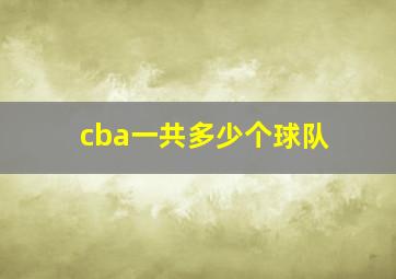 cba一共多少个球队